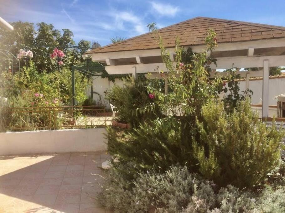 Superbe Appartement En Residence Avec Patio Villeneuve-lès-Maguelonne Exterior foto